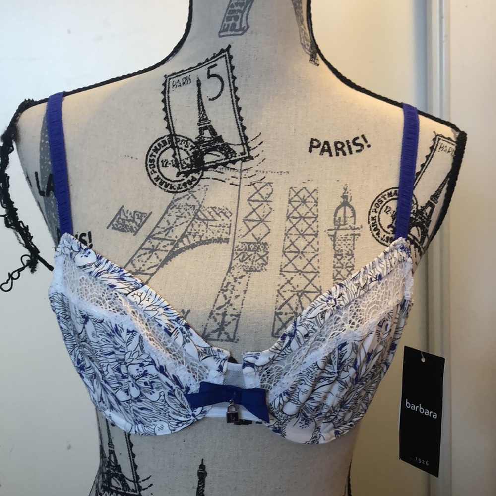 Barbara Lingerie Lagune Underwire Bra -218511B